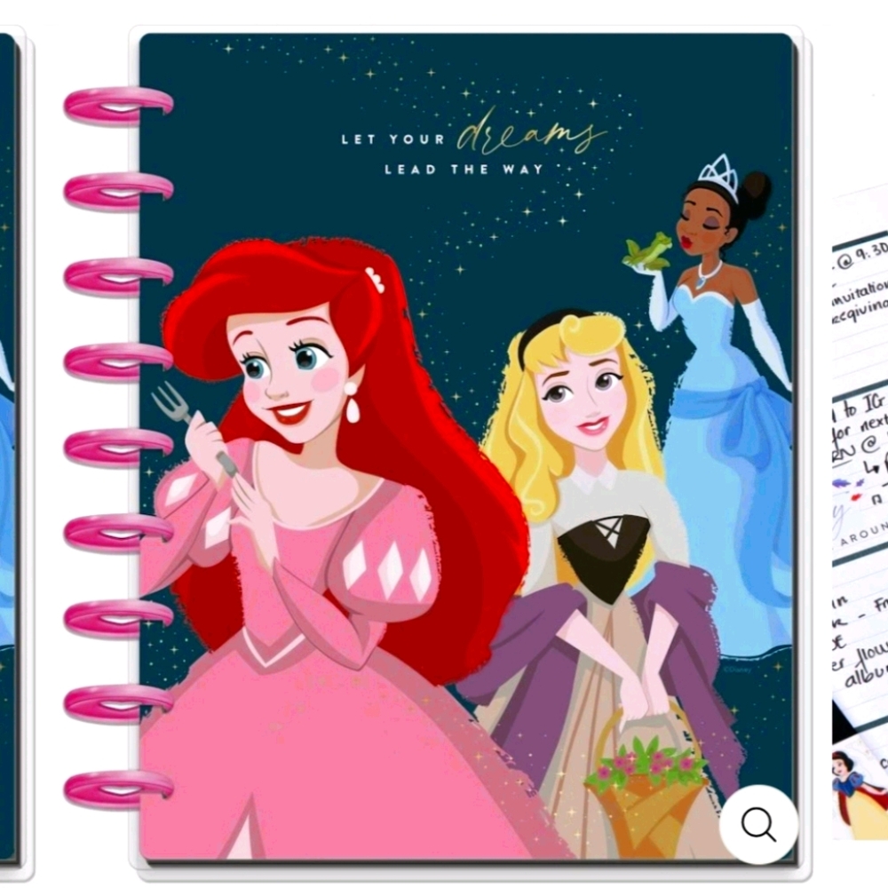 The Happy Planner UNDATED Disney Princess Planner